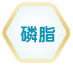 磷脂* 被誉为“细胞的保护神”